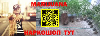 метадон Новодвинск
