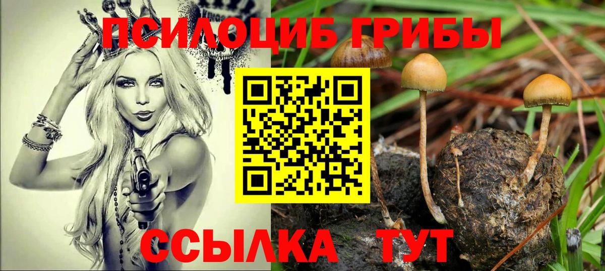 Рассказово  Галлюциногенные грибы мицелий  Вход с VPN 