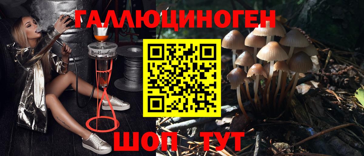 Галлюциногенные грибы MAGIC MUSHROOMS Рассказово